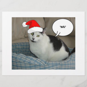 Kerstzwart en White Kitten Flyer