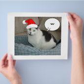 Kerstzwart en White Kitten Flyer (Hand)