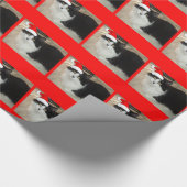 Kerstzwart en witte kat cadeaupapier (Hoek)