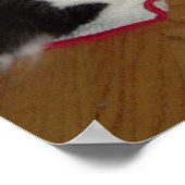 Kerstzwart en witte kat poster (Hoek)