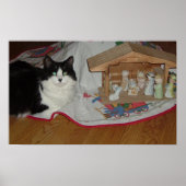Kerstzwart en witte kat poster (Voorkant)