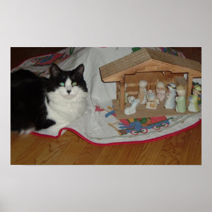 Kerstzwart en witte kat poster