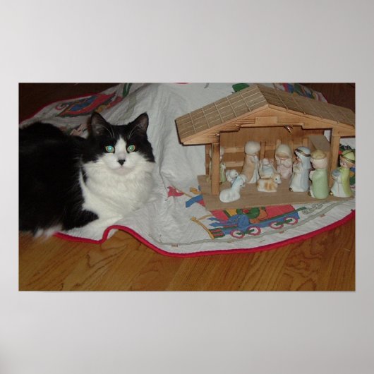 Kerstzwart en witte kat poster (Voorkant)