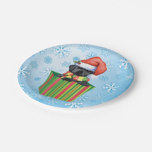 Kerstzwart lab papieren bordje (Gekanteld)