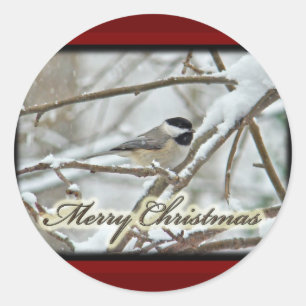 Kerstzwarte kippen in sneeuw ronde sticker