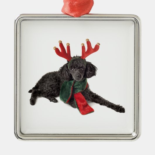 Kerstzwarte Speelgoed Poodle Dog gekleed als rendi Metalen Ornament (Voorkant)