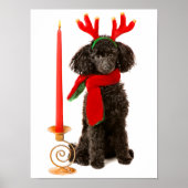Kerstzwarte Speelgoed Poodle Dog gekleed als rendi Poster (Voorkant)