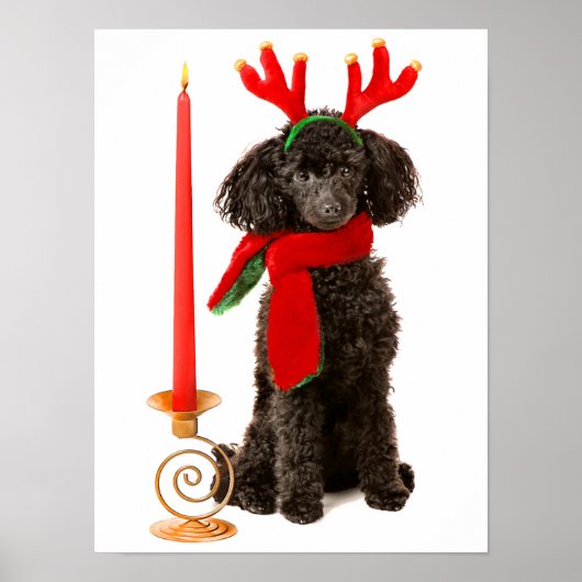 Kerstzwarte Speelgoed Poodle Dog gekleed als rendi Poster (Voorkant)