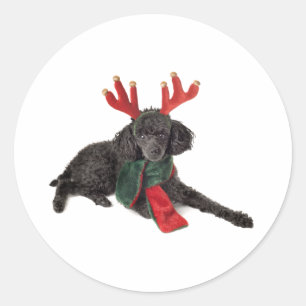 Kerstzwarte Speelgoed Poodle Dog gekleed als rendi Ronde Sticker