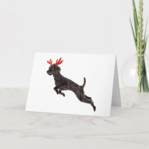 Kerstzwarte Speelgoed Poodle Dog Reindeer Antlers Feestdagen Kaart