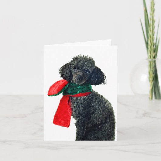 Kerstzwarte Speelgoed Poodle Dog Rood Scarf Feestdagen Kaart (Voorkant)