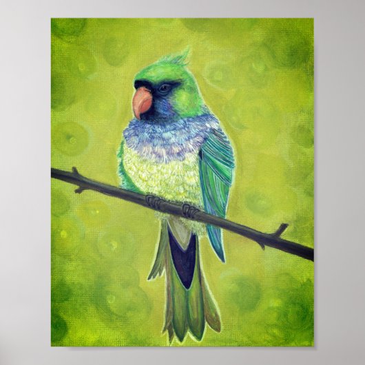 Kesha Poster (Voorkant)