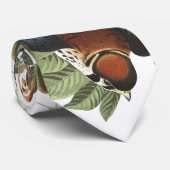 Kestral Birds Raptor Audubon Wildlife Stropdas (Opgerold)