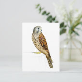 Kestrel 2011 briefkaart (Staand voorkant)