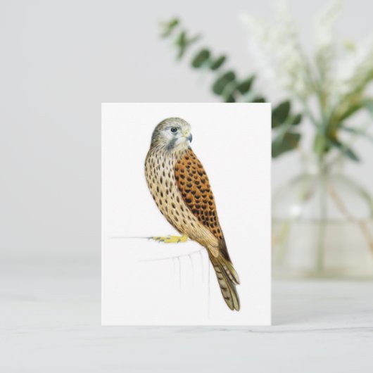 Kestrel 2011 briefkaart (Staand voorkant)