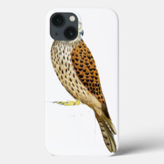 Kestrel 2011 iPhone 13 hoesje