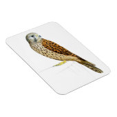 Kestrel 2011 magneet (Rechterzijde)