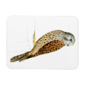 Kestrel 2011 magneet (Horizontaal)