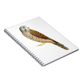 Kestrel 2011 notitieboek (Rechterzijde)