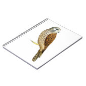 Kestrel 2011 notitieboek (Linkerzijde)