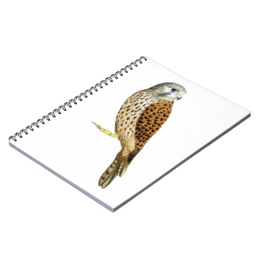 Kestrel 2011 notitieboek (Linkerzijde)