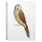 Kestrel 2011 notitieboek (Voorkant)
