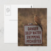 Kestrel Briefkaart (Voorkant / Achterkant)