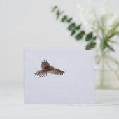 Kestrel Briefkaart (Staand voorkant)