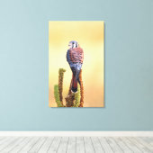 Kestrel, Falco sparverius, Inheems voor de VS en C Canvas Afdruk (Insitu (Houten vloer))