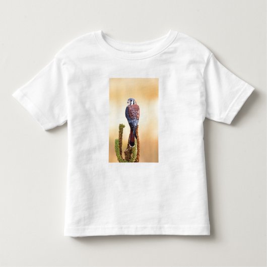 Kestrel, Falco sparverius, Inheems voor de VS en C Kinder Shirts (Voorkant)