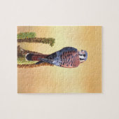 Kestrel, Falco sparverius, Inheems voor de VS en C Legpuzzel (Horizontaal)