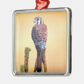 Kestrel, Falco sparverius, Inheems voor de VS en C Metalen Ornament (Links)