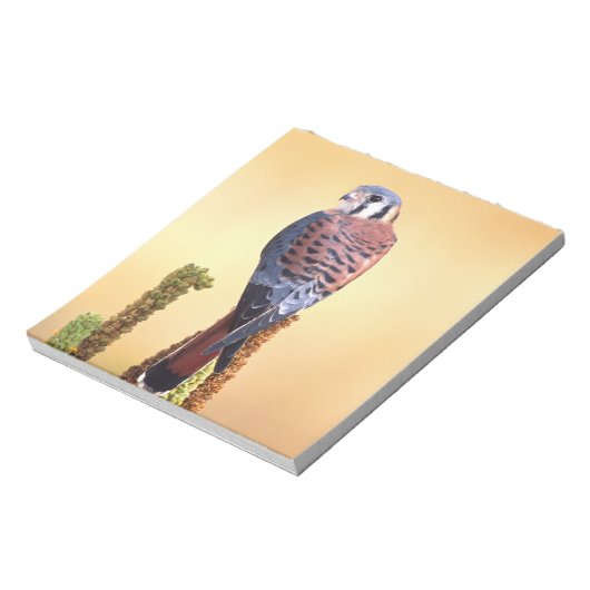 Kestrel, Falco sparverius, Inheems voor de VS en C Notitieblok (Linkerzijde)