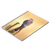 Kestrel, Falco sparverius, Inheems voor de VS en C Notitieboek (Linkerzijde)