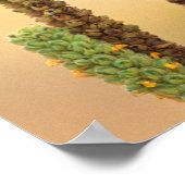 Kestrel, Falco sparverius, Inheems voor de VS en C Poster (Hoek)