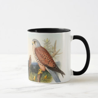 Kestrel Falcon John Gould Birds of Great Britain Mok