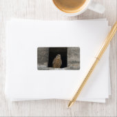 Kestrel in a small wall opening in the old church etiket (Insitu)