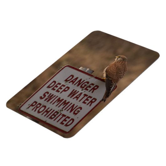 Kestrel Magneet (Linkerzijde)