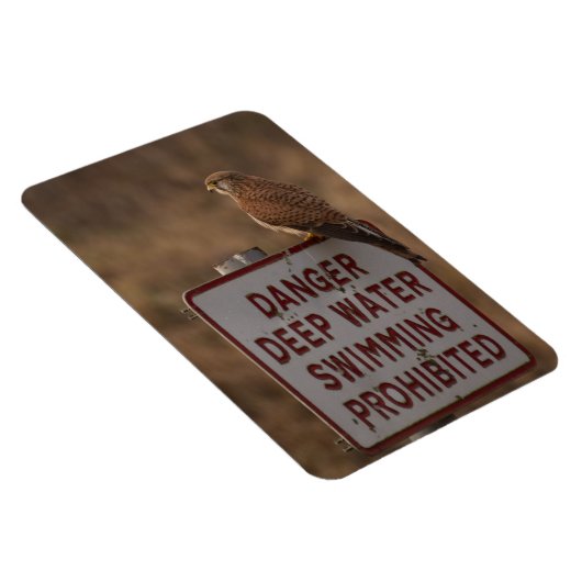Kestrel Magneet (Rechterzijde)