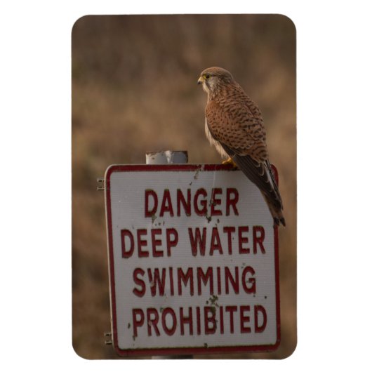 Kestrel Magneet (Verticaal)