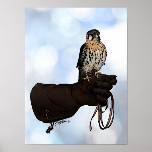 Kestrel op Glove Illustration Poster (Voorkant)