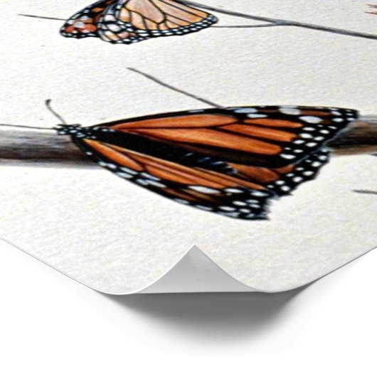 Kestrel Poster (Hoek)