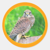 Kestrel Sticker (Voorkant)