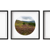 Keswick Lake District Hike Fields of Heather Foto Poster