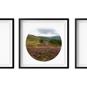 Keswick Lake District Hike Fields of Heather Foto Poster