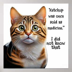 Ketchup verkocht als medicijn poster