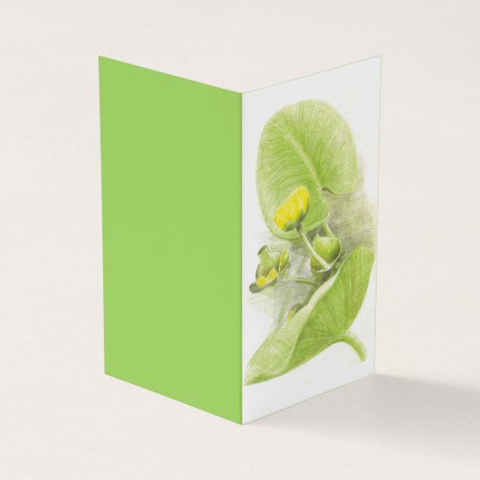 Ketel met gele waterlelpenpotlood visitekaartje (Buitenkant)