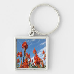 Keten van Aloe Arborescens Sleutelhanger