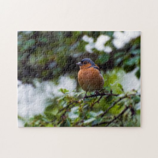 Ketter op een tak van de puzzel Jigzaag (Horizontaal)