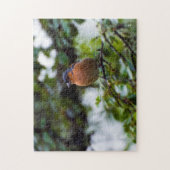 Ketter op een tak van de puzzel Jigzaag (Verticaal)